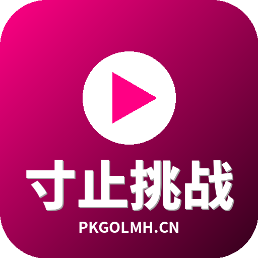 寸止挑战